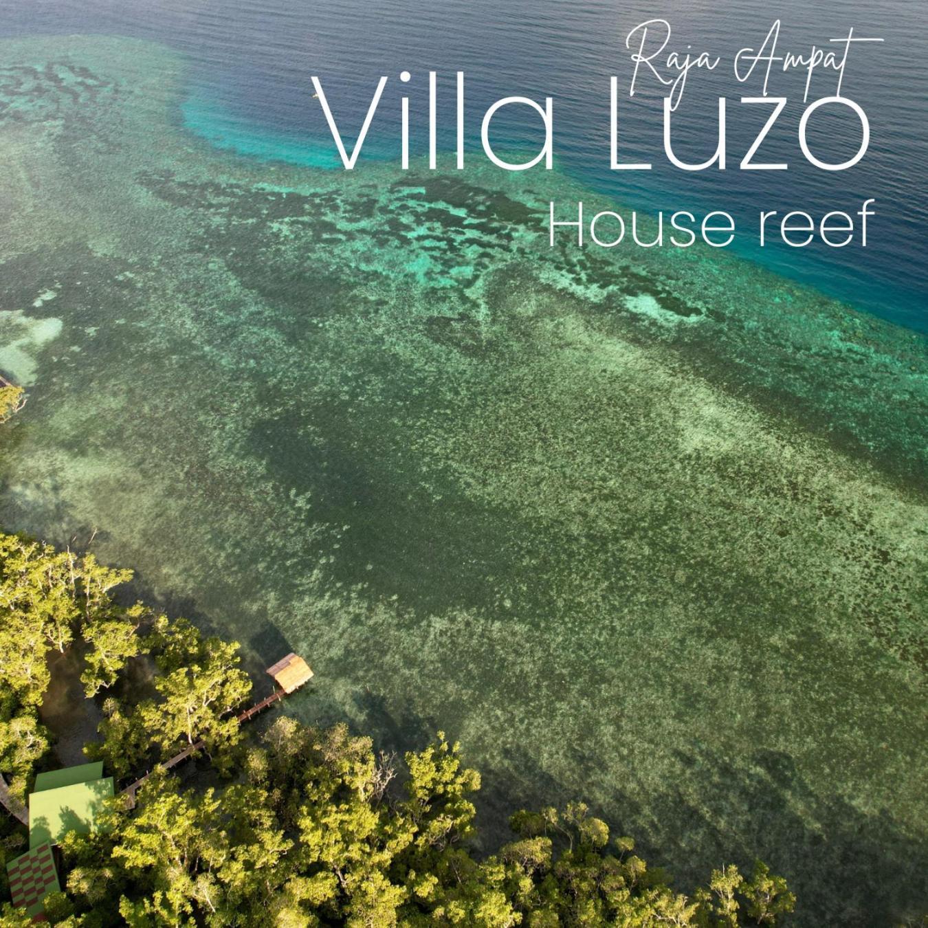 Villa Luzo & Tours Saonek Exterior foto